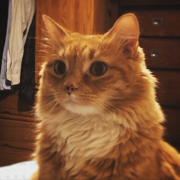 Meet your Posher, Jen - Picture 2 of 2